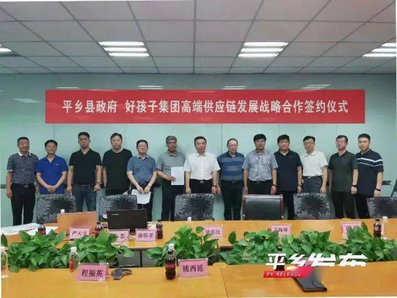 平乡县众宝儿童用品有限公司与平乡县众友汽贸：谁是行业佼佼者？